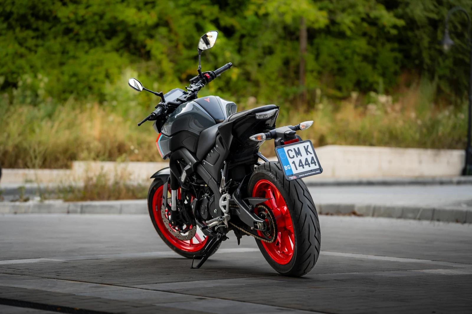 Yamaha Mt-01  - изображение 4