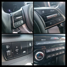 Kia Sportage 1.6 MildHybrid | Mobile.bg    14