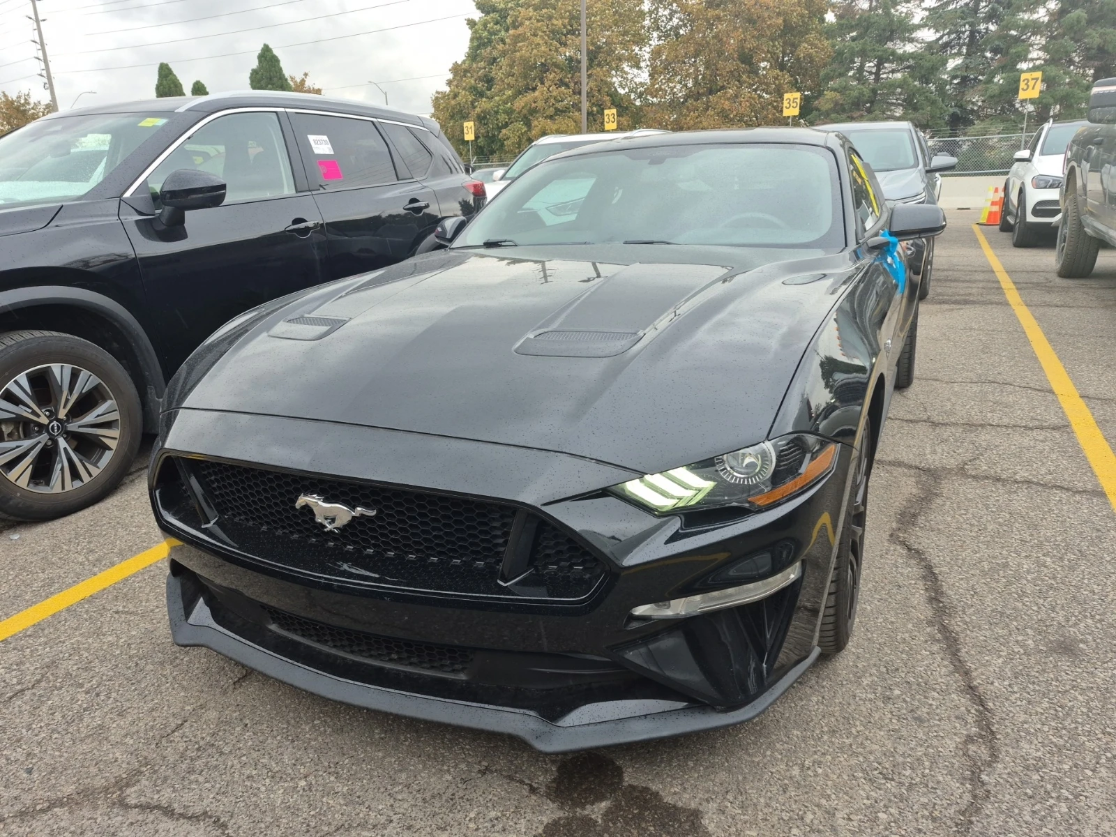 Ford Mustang * GT* CARFAX * БЕЗ ПЪРВОНАЧАЛНА ВНОСКА | Mobile.bg — изображение 2