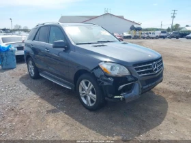 ����� �� �������� �� Mercedes-Benz ML 350 �������| �������| ����� �����