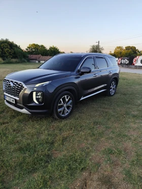 ����� �� �������� �� Hyundai Palisade