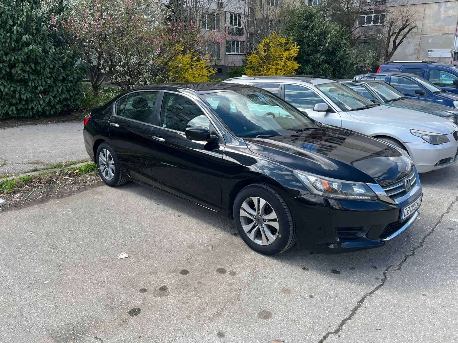 Honda Accord  - изображение 10