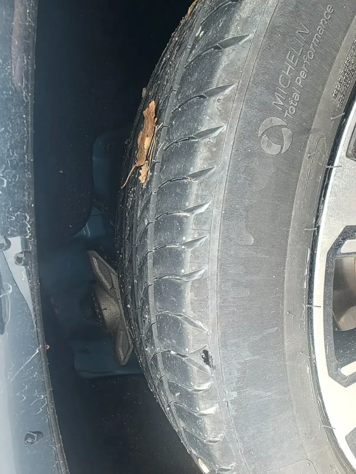 Гуми Летни 205/55R19