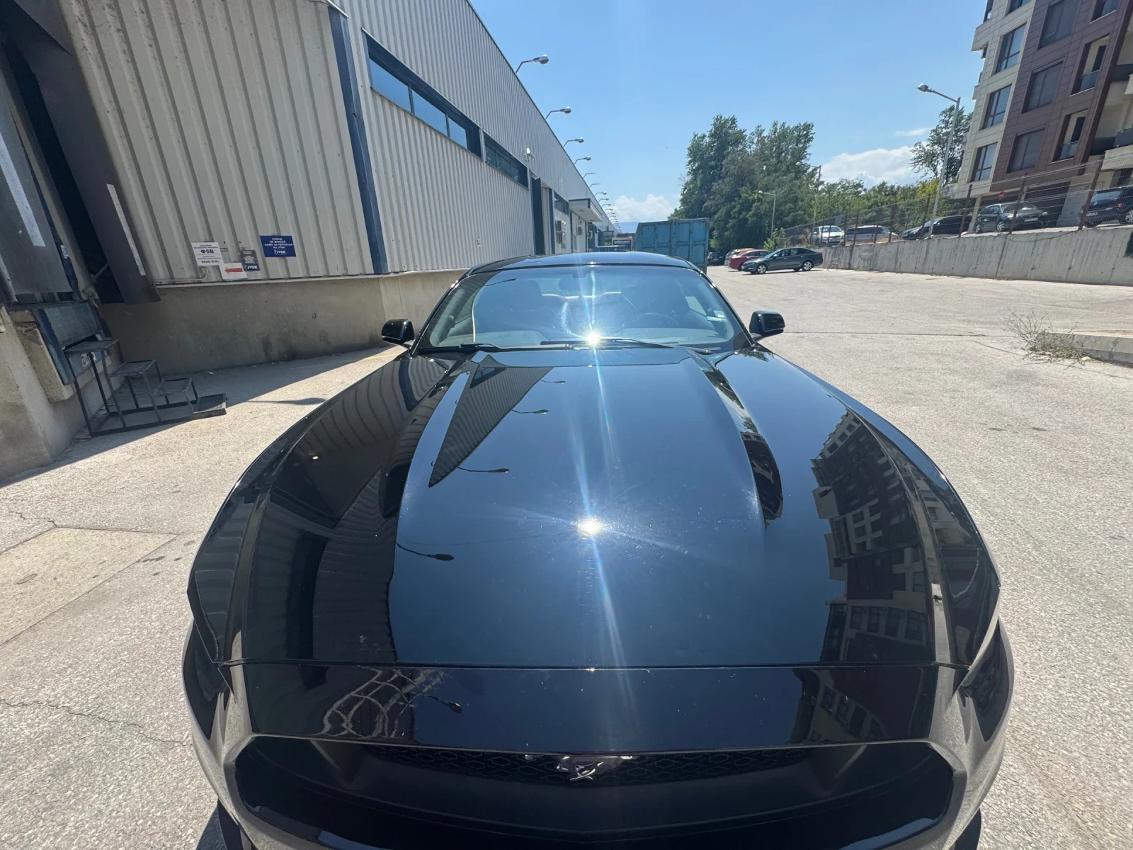 Ford Mustang  - изображение 5