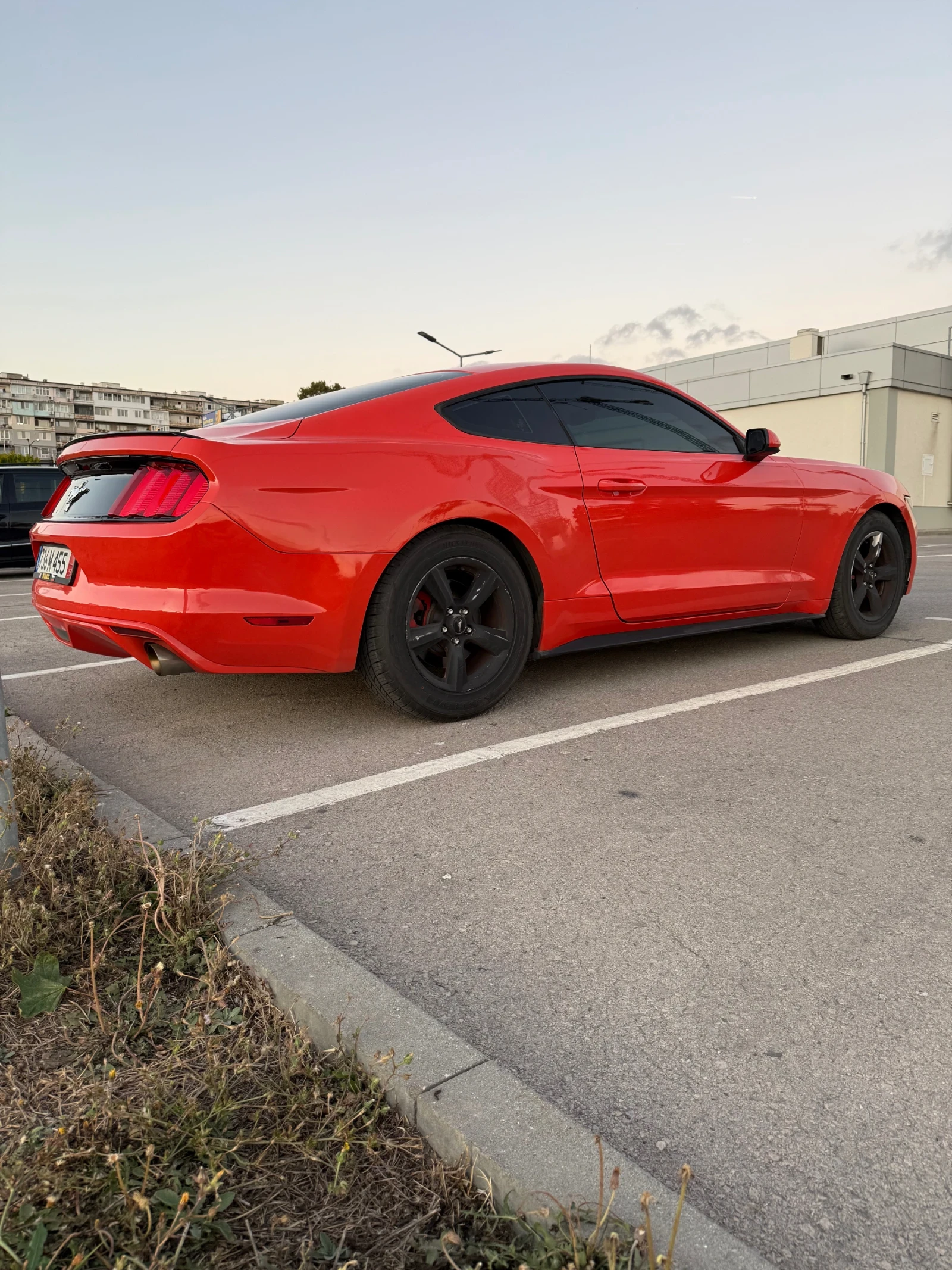 Ford Mustang  - изображение 10