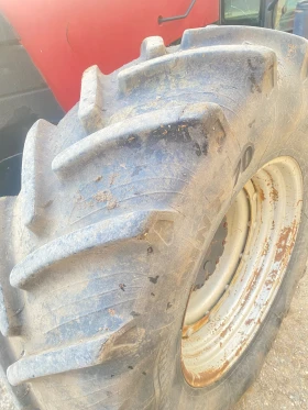  CASE IH MXN190 | Mobile.bg    6