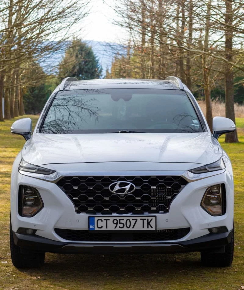 Hyundai Santa fe 2.2 CRDI/Premium/4x4/Head up, снимка 7 - Автомобили и джипове - 49149979