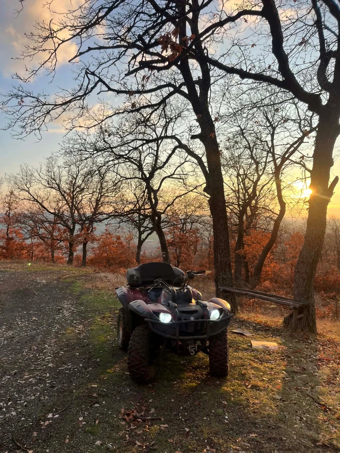 Yamaha Grizzly | Mobile.bg � ����������� 8