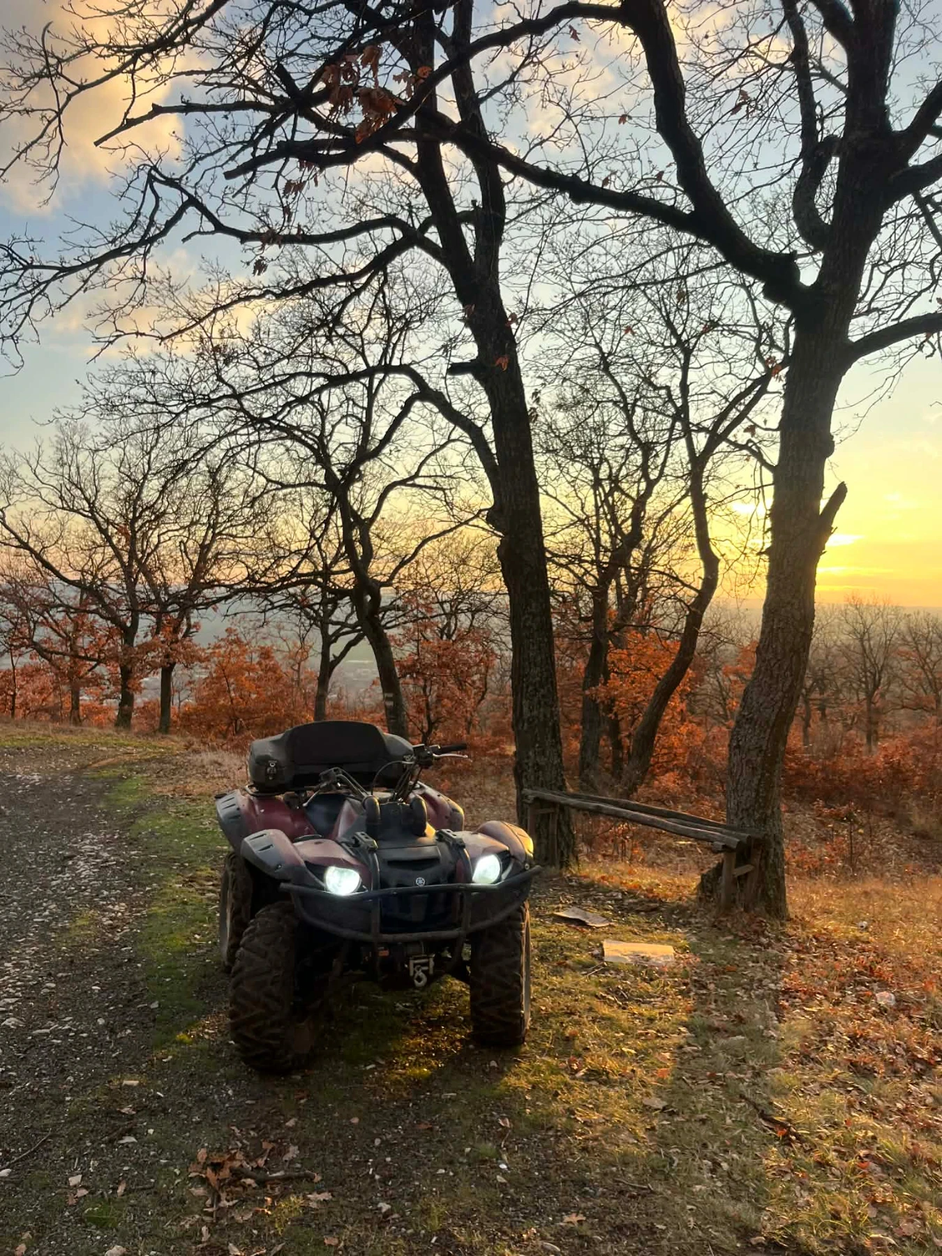 Yamaha Grizzly | Mobile.bg � ����������� 3