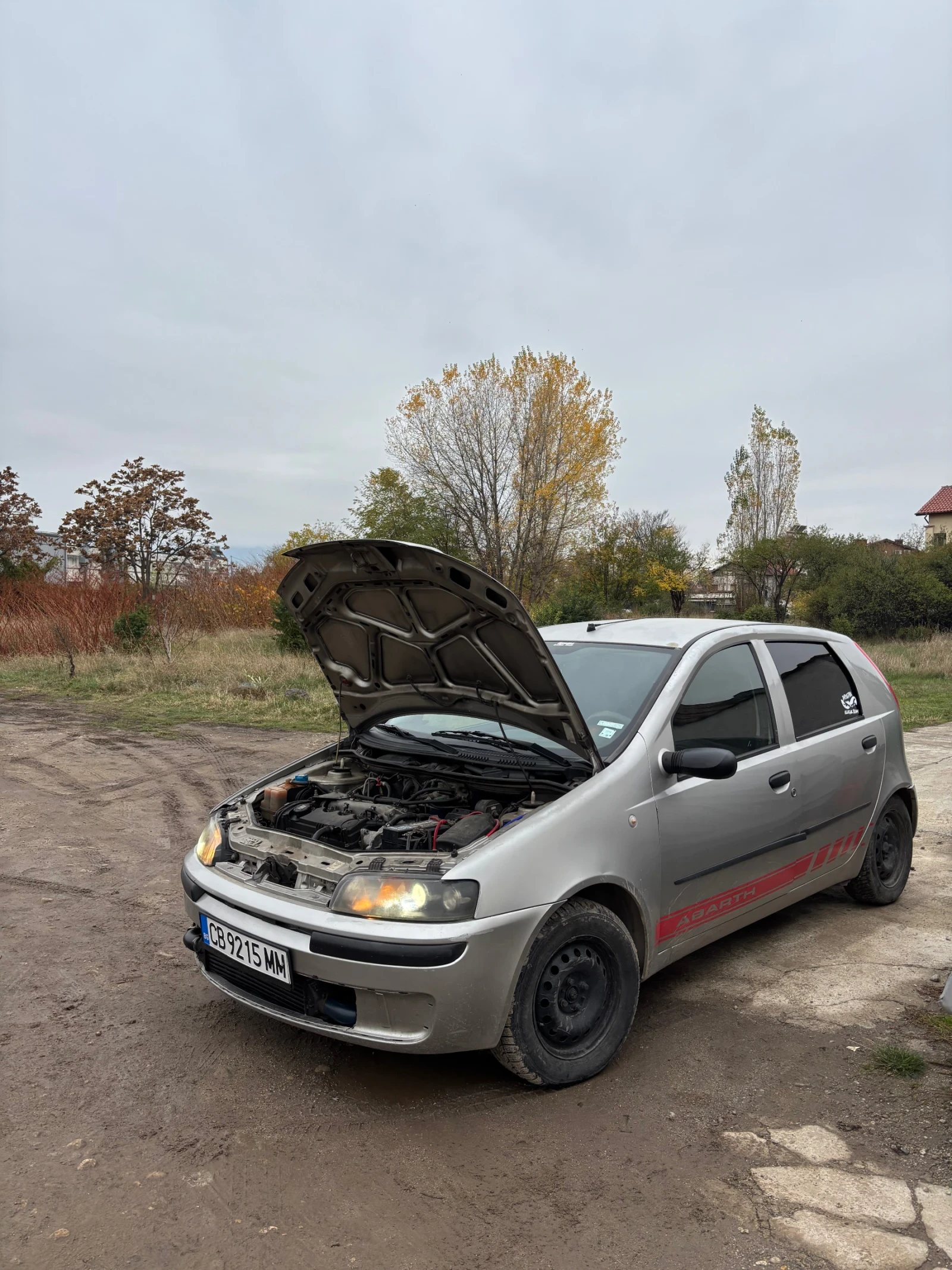 Fiat Punto, снимка 1