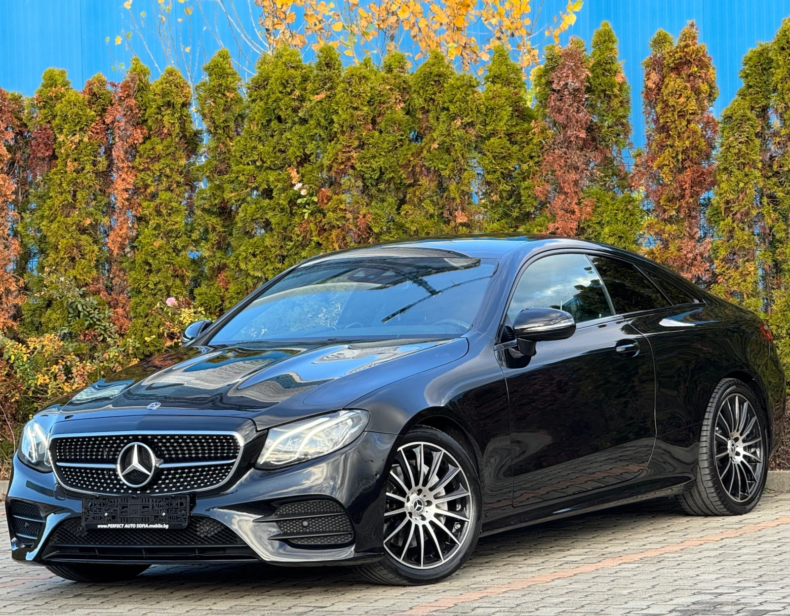 Mercedes-Benz E 220 //COUPE-2.2d-194KC-9G-HEAD UP-ПОДГРЕВ-LED-ОТЛИЧНА!, снимка 1