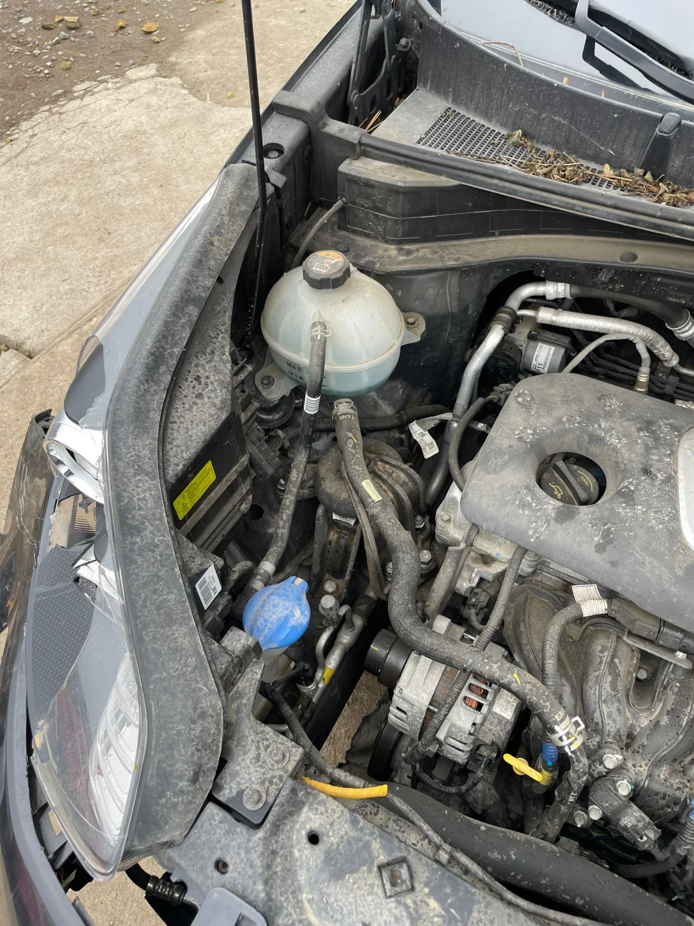 Kia Sportage | Mobile.bg   16