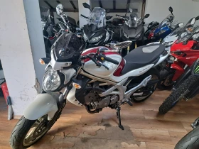 Suzuki Gladius 650i, снимка 3