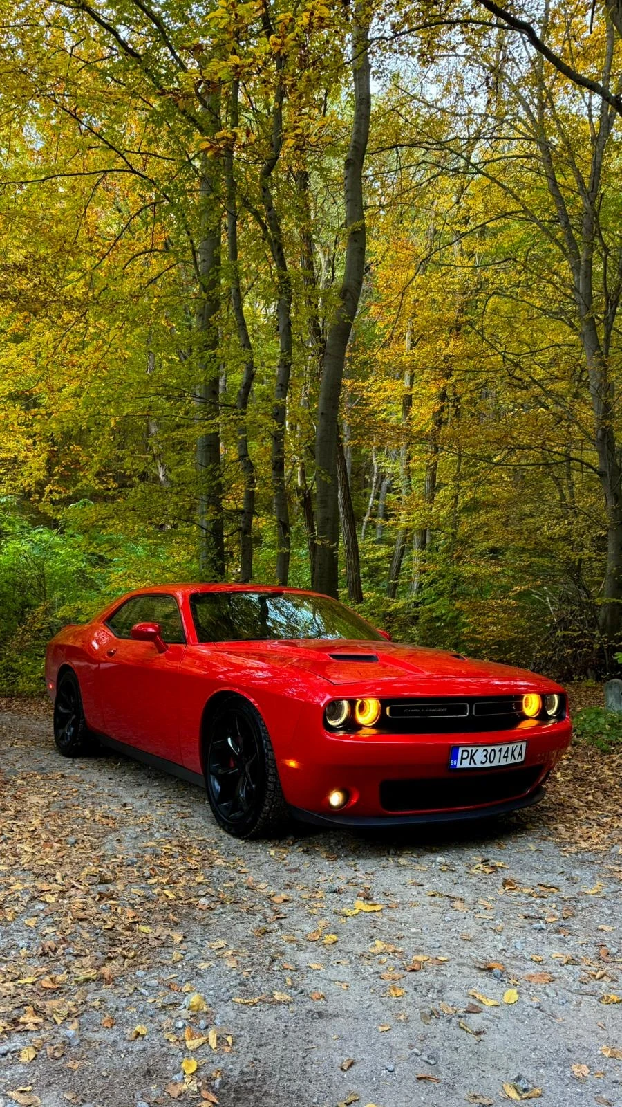 Dodge Challenger 3.6 SXT - изображение 5