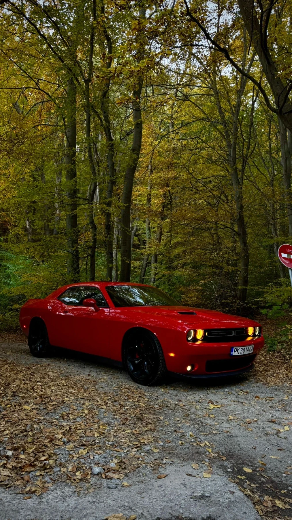 Dodge Challenger 3.6 SXT - изображение 6