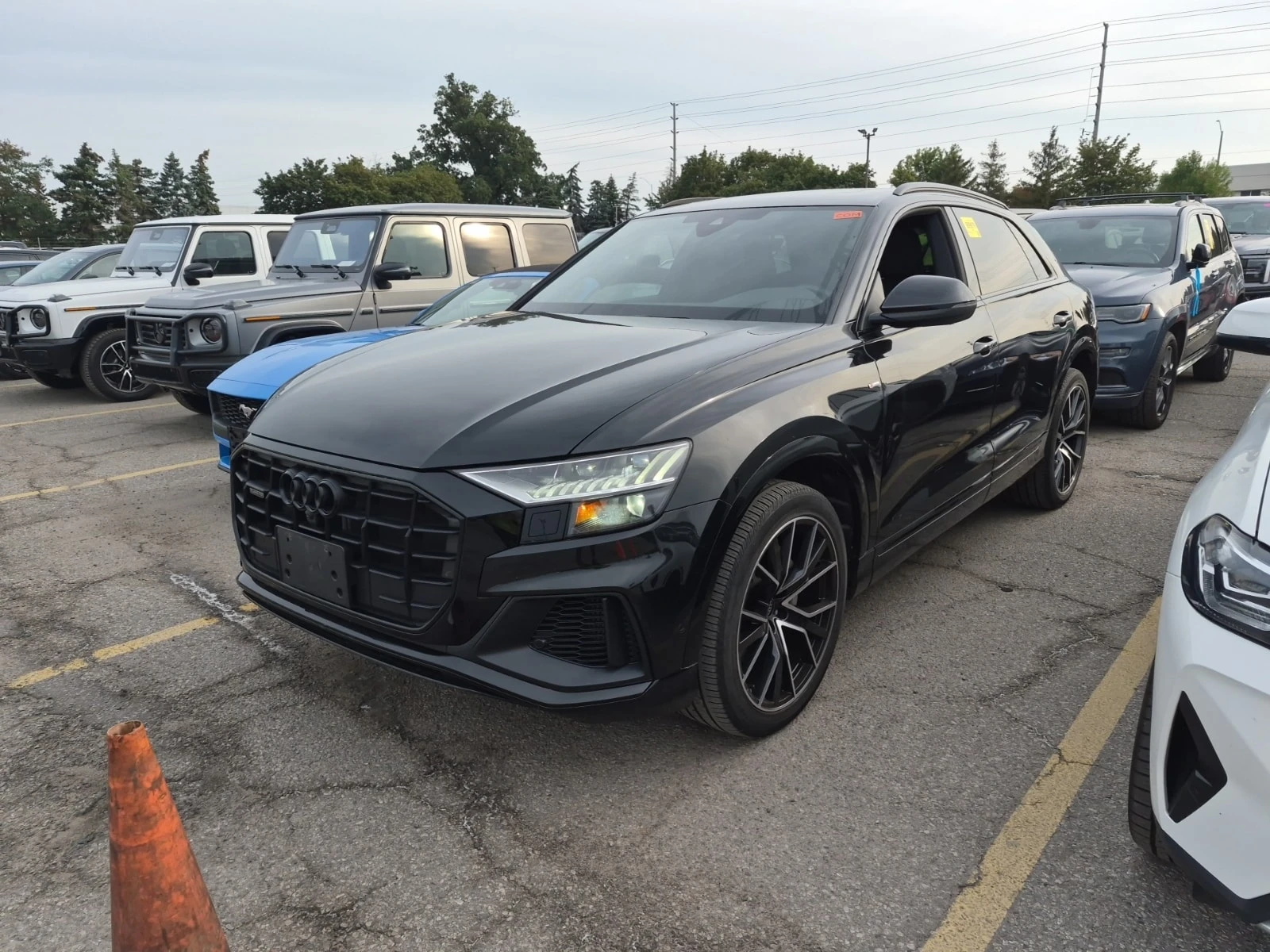 Audi Q8 55TFSi * PROGRESSIV * CARFAX * 