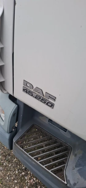 Daf Lf 45-160 | Mobile.bg � ����� ������ 8