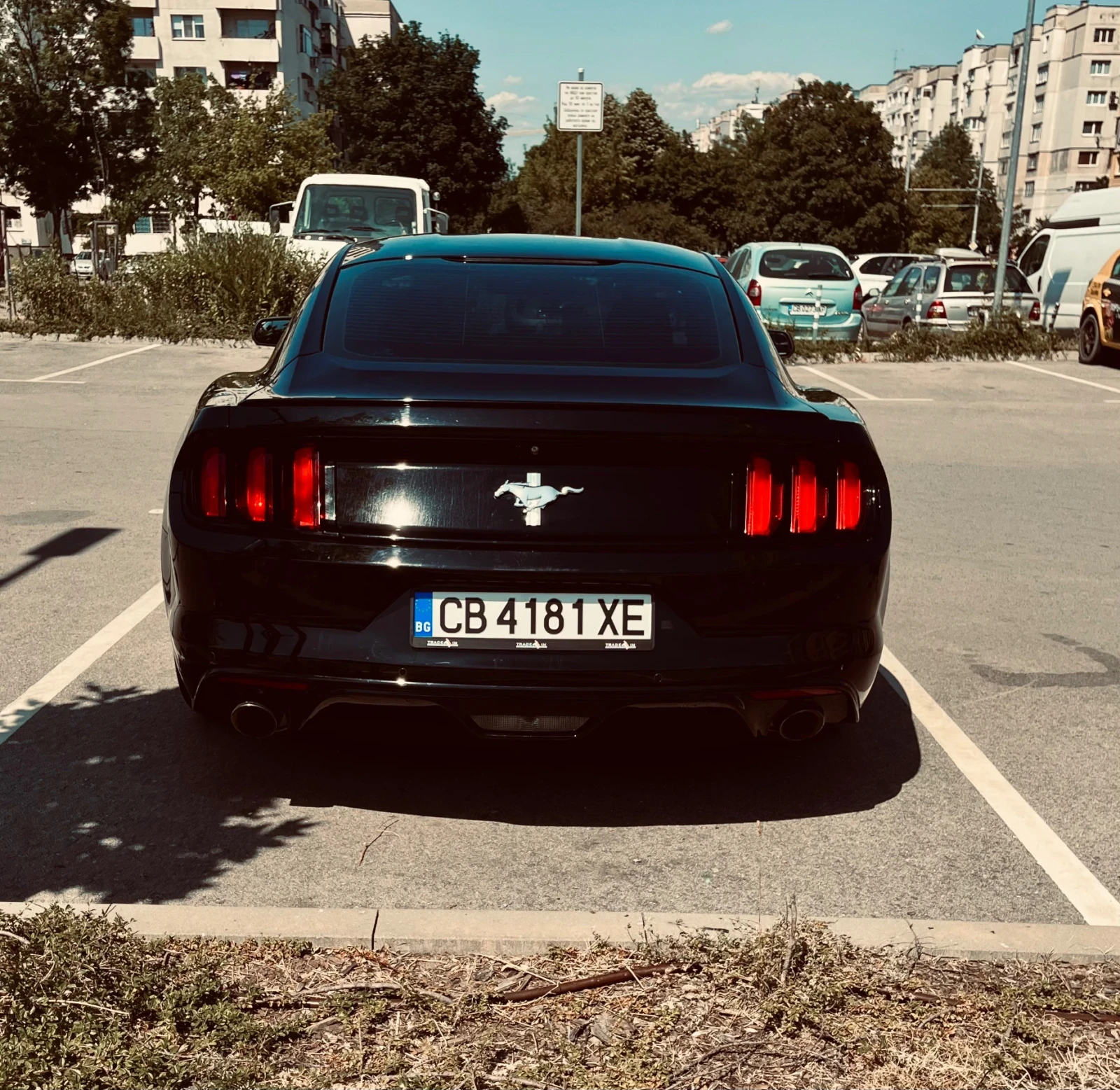 Ford Mustang V6  - изображение 2