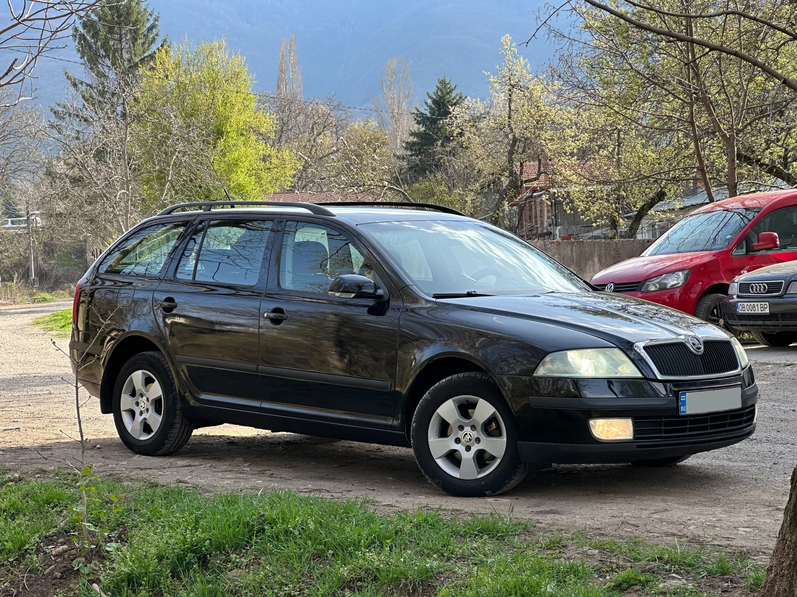 Skoda Octavia 1.9 TDI 4x4, снимка 2 - Автомобили и джипове - 54197022