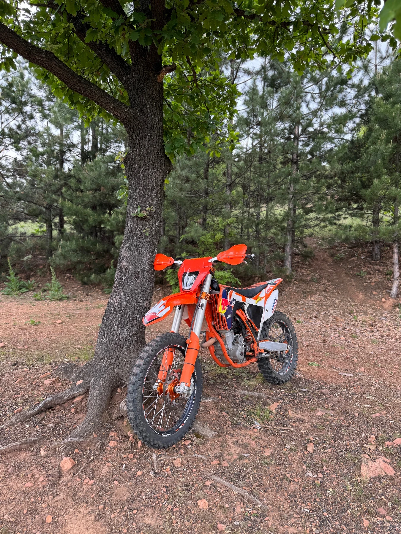 Ktm SX-F 350 - изображение 3