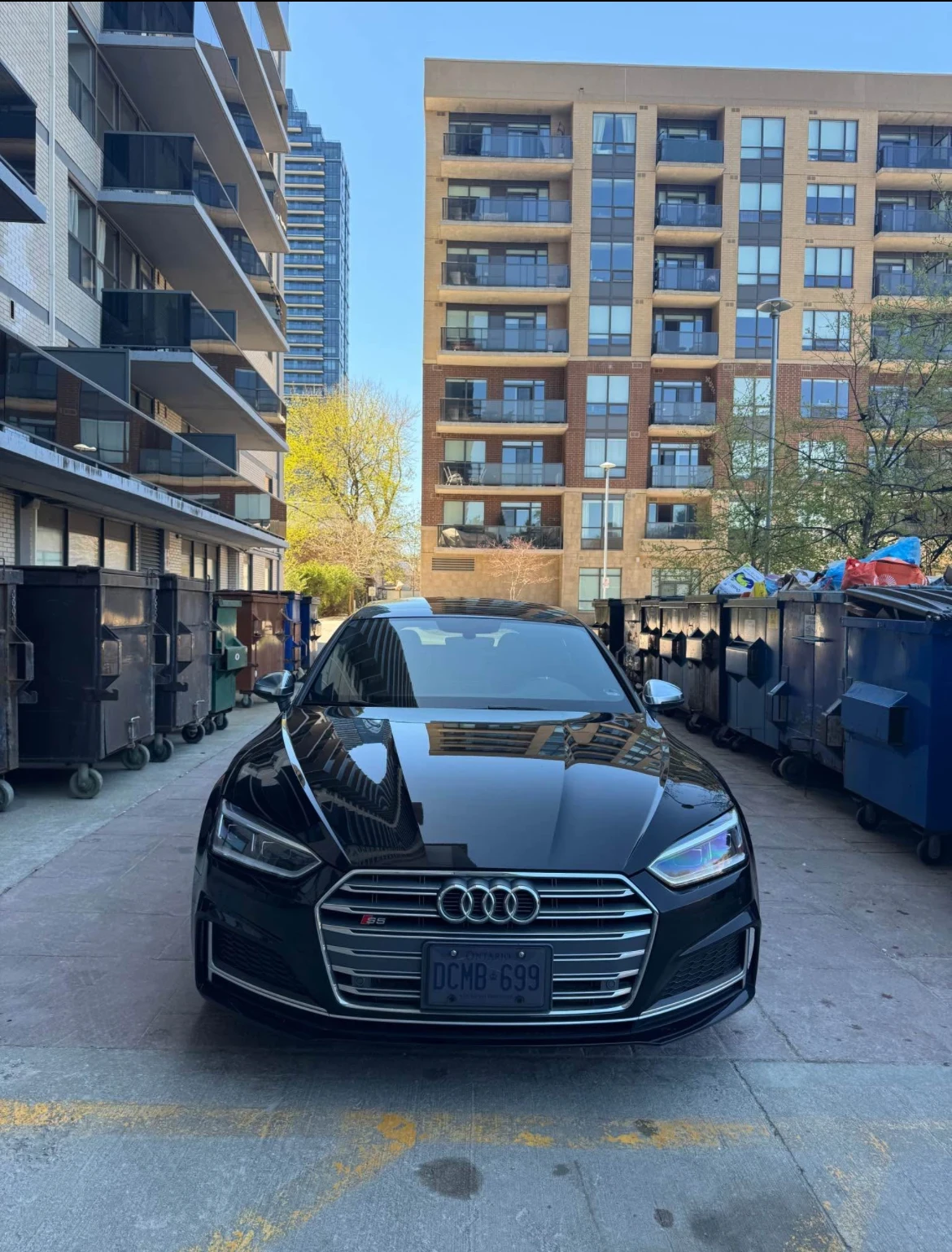 Audi S5 CARFAX * * АВТО КРЕДИТ * *  - изображение 2