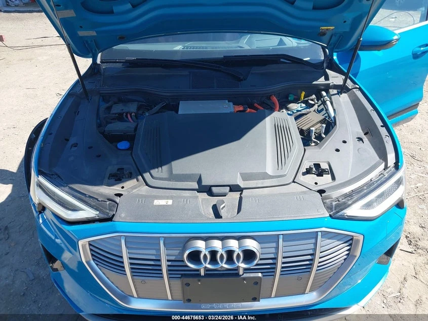 Audi E-Tron Premium Plus | Mobile.bg � ����������� 10