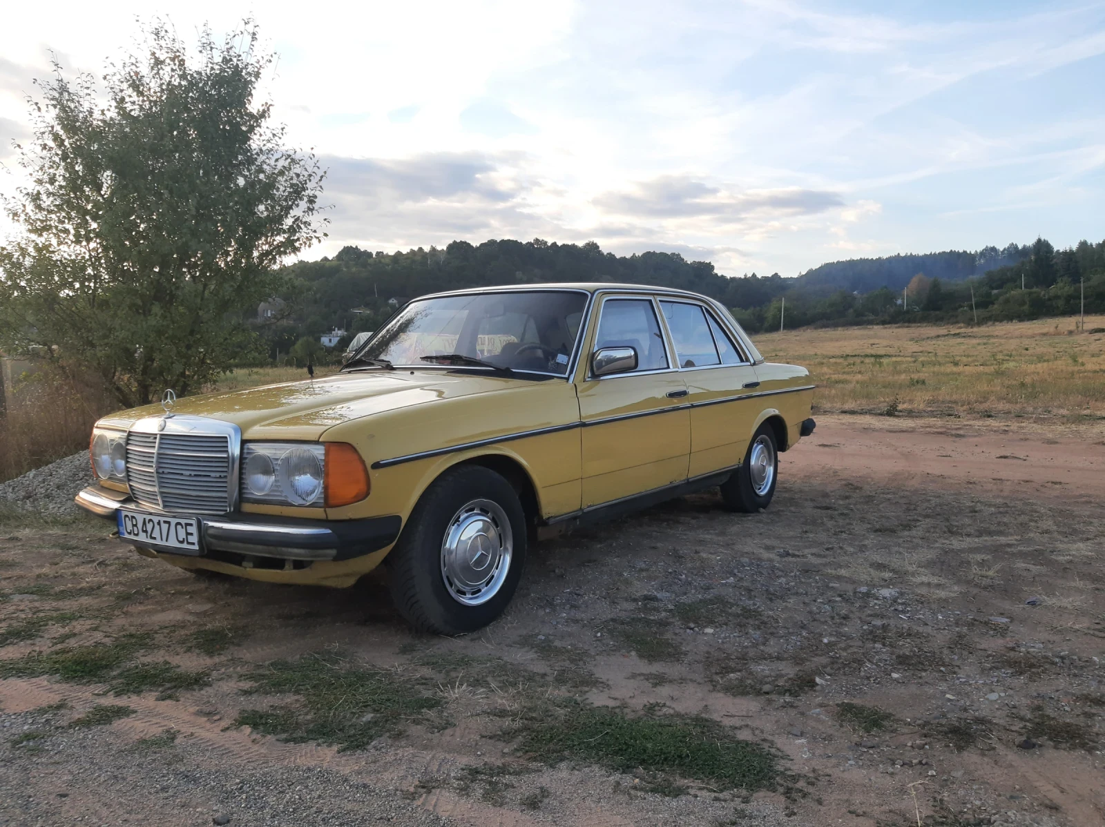 Mercedes-Benz 123, снимка 3 - Автомобили и джипове - 56227967