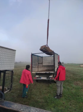 Citroen Jumper 2300jtd, снимка 6