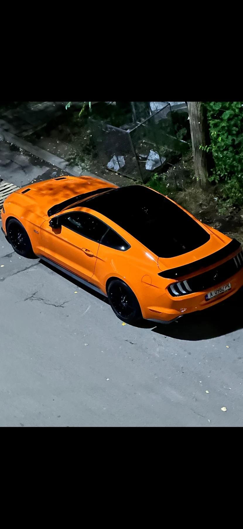 Ford Mustang 5.0 GT Performance  | Mobile.bg � ����������� 3