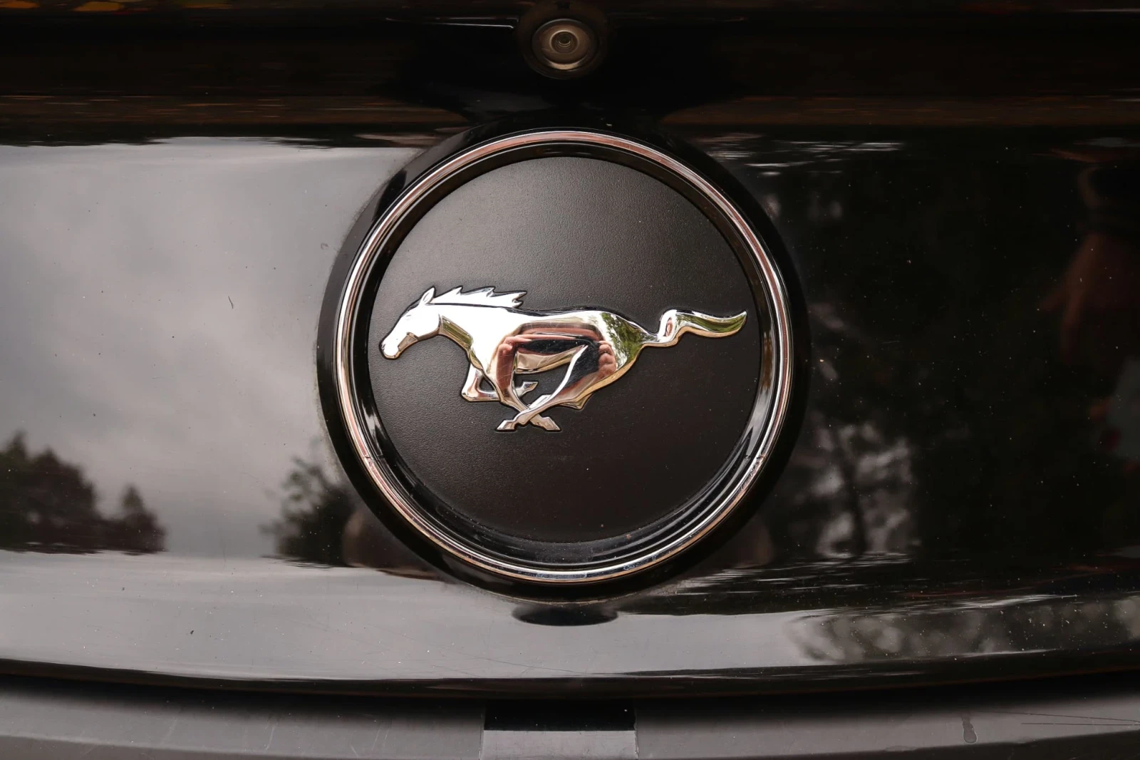 Ford Mustang 2.3 EcoBoost, снимка 3 - Автомобили и джипове - 56561455