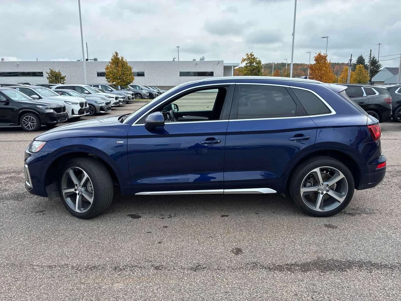 Audi Q5 * TECHNIK * CARFAX * ФИНАНСИРАНЕ, снимка 2 - Автомобили и джипове - 56443340
