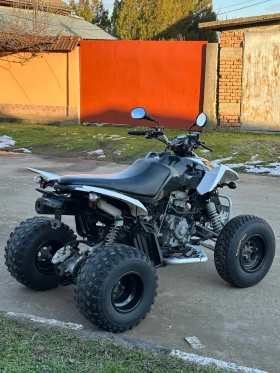 Arctic Cat Dvx 320cc, снимка 8