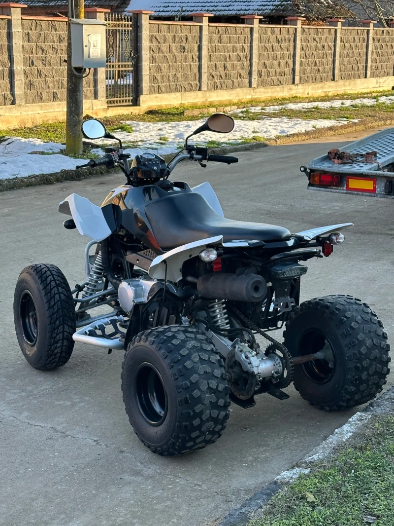 Arctic Cat Dvx 320cc