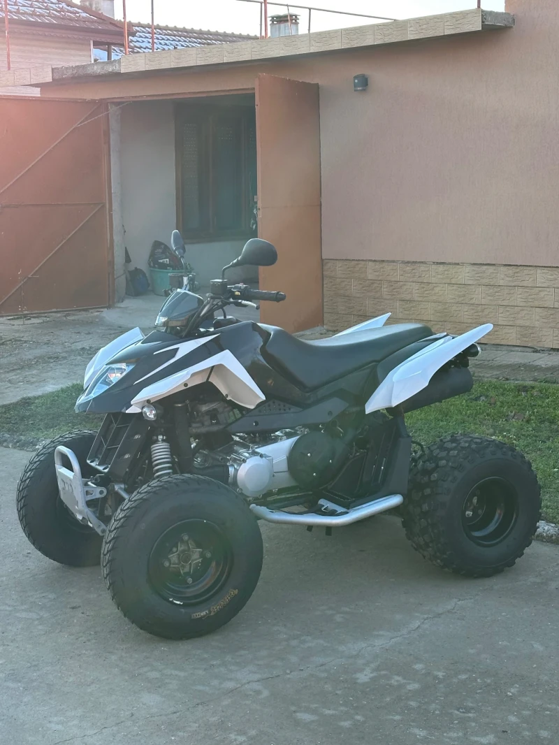 Arctic Cat Dvx 320cc, снимка 3 - Мотоциклети и мототехника - 52937967