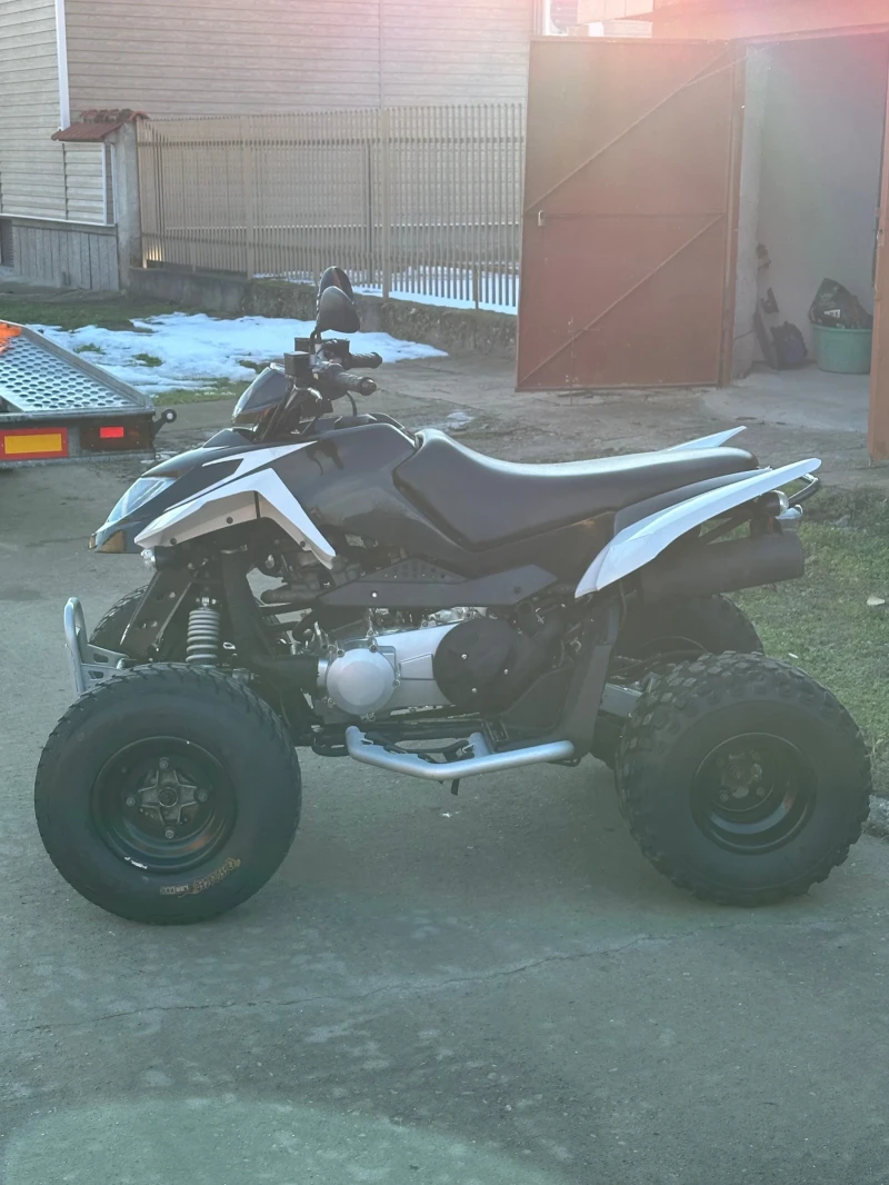 Arctic Cat Dvx 320cc, снимка 2 - Мотоциклети и мототехника - 52937967