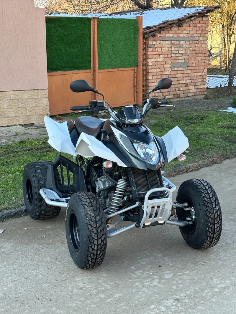 Arctic Cat Dvx 320cc, снимка 5 - Мотоциклети и мототехника - 52937967