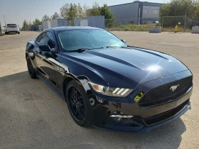 Ford Mustang ECOBOOST * * CARFAX * * АВТО КРЕДИТ * *  - 23999 лв. / 12270.49 € - 58165627 2