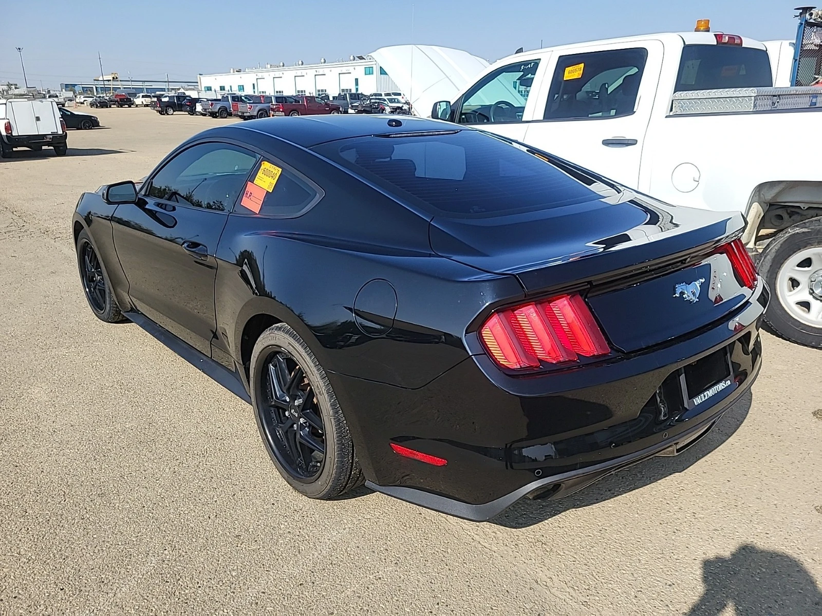 Ford Mustang ECOBOOST * * CARFAX * * АВТО КРЕДИТ * *  - изображение 5