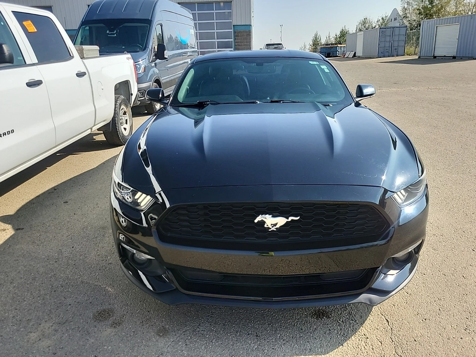 Ford Mustang ECOBOOST * * CARFAX * * АВТО КРЕДИТ * *  - изображение 3