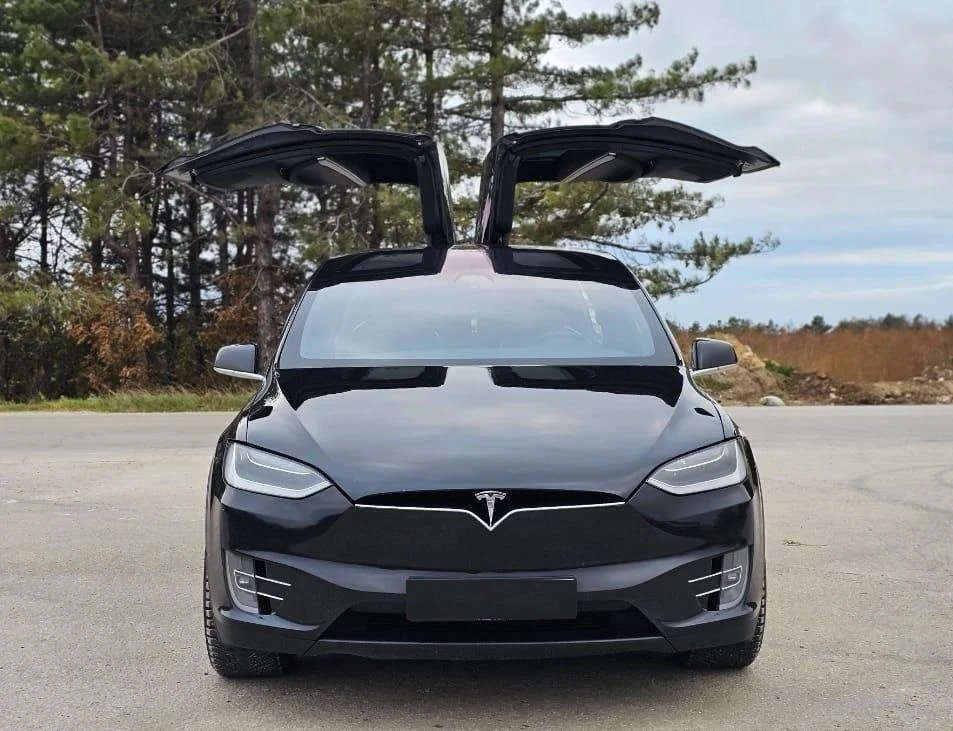 Tesla Model X X100D с Гаранция - изображение 3