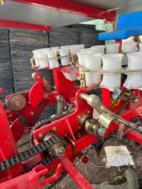 Друг вид Български, снимка 4