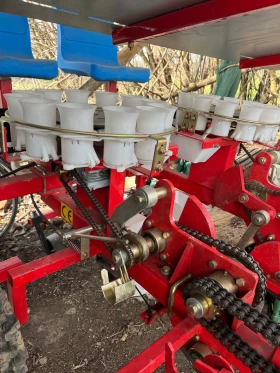 Друг вид Български, снимка 5