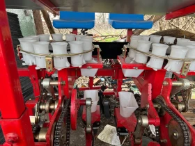 Друг вид Български, снимка 6