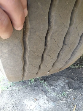����������� Schmitz ���� | Mobile.bg � ����� ������ 5