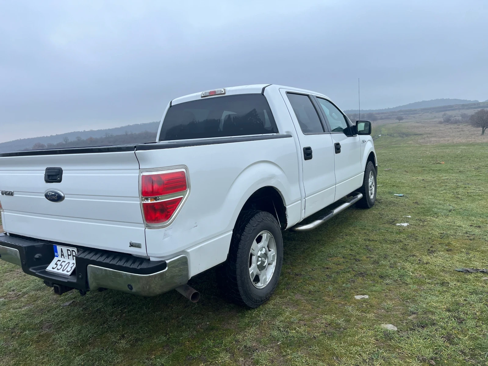 Ford F150 F150 - изображение 6
