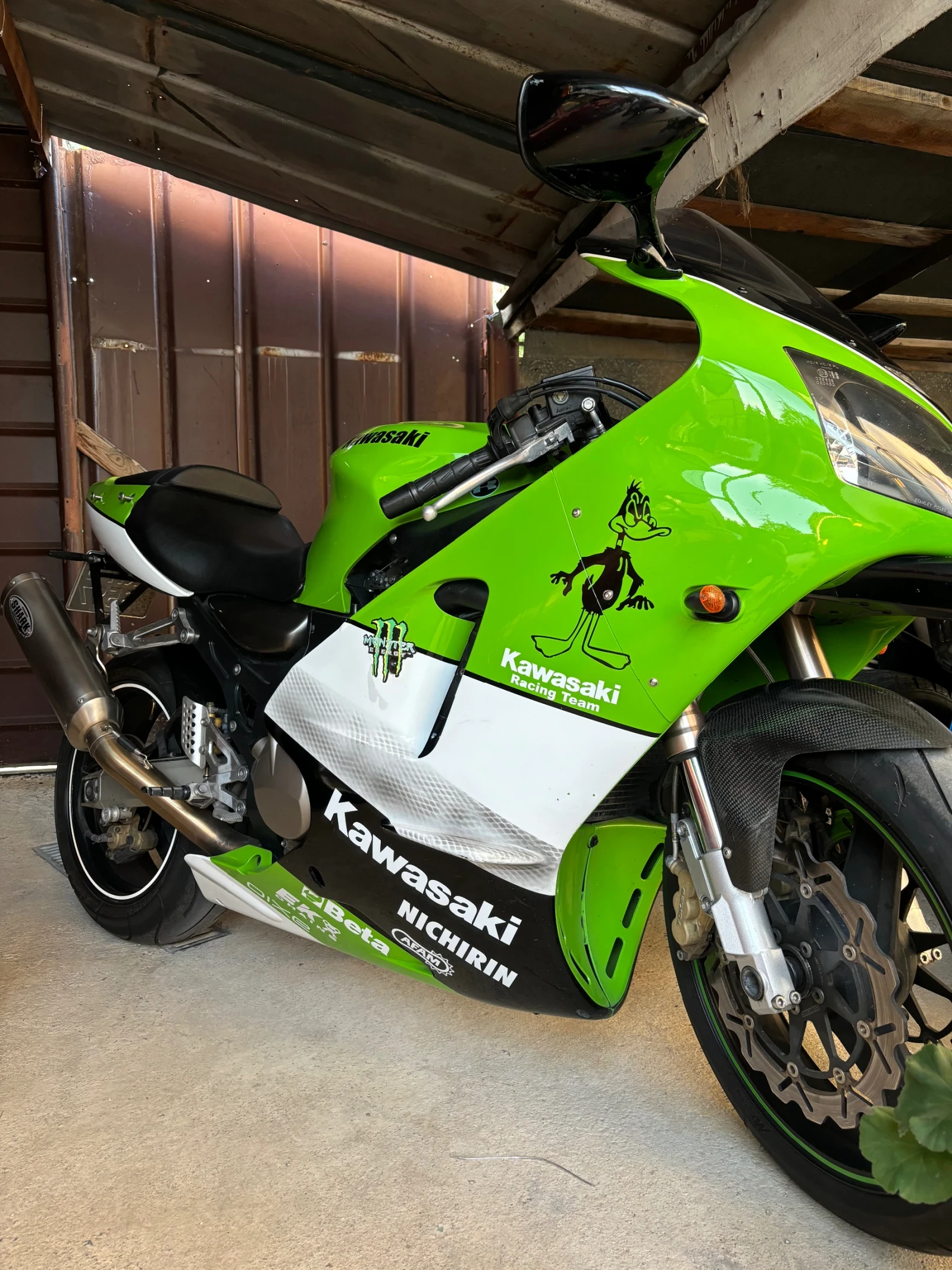Kawasaki Zxr Zx12r 