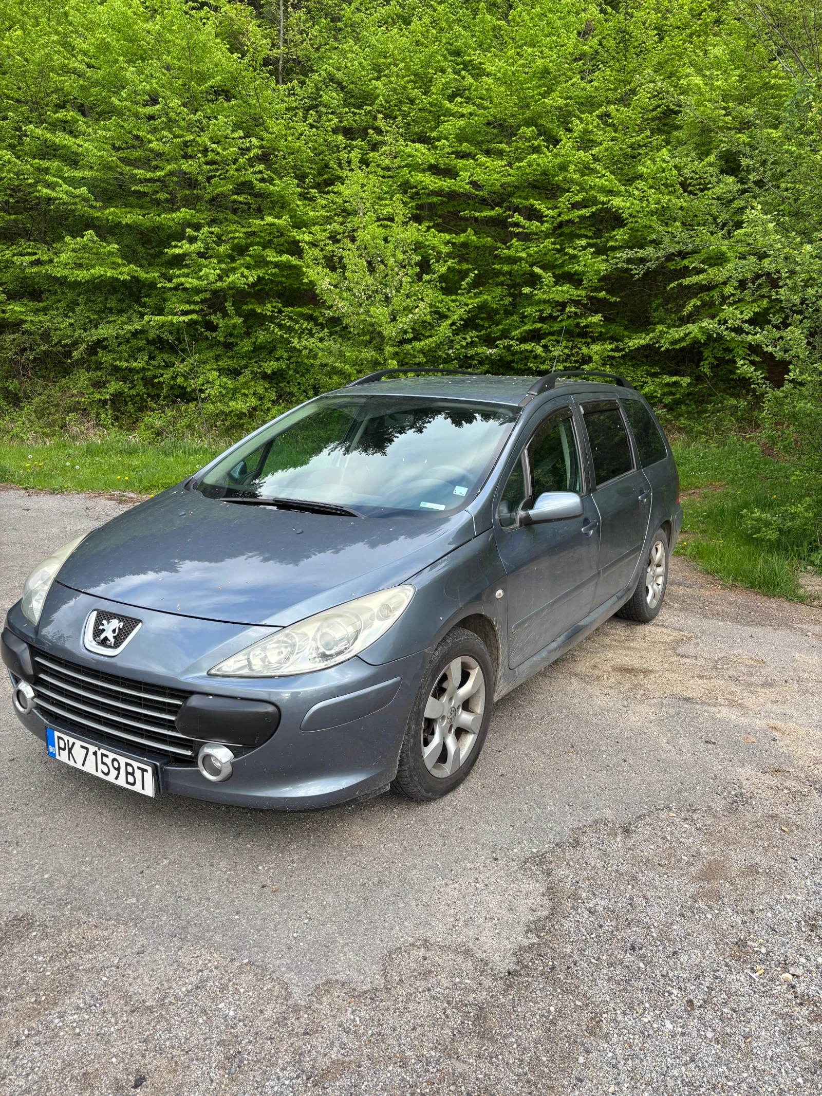 Peugeot 307 Peugeot 307 1.6 HDi 90hp, снимка 3 - Автомобили и джипове - 54486831