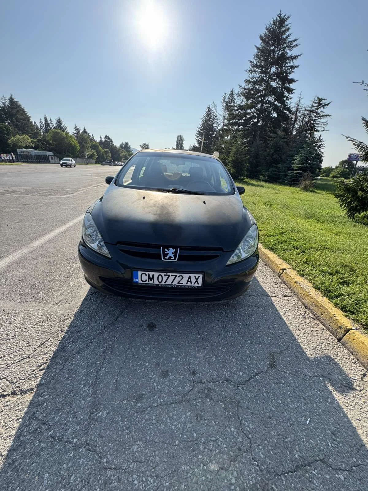 Peugeot 307  - изображение 2