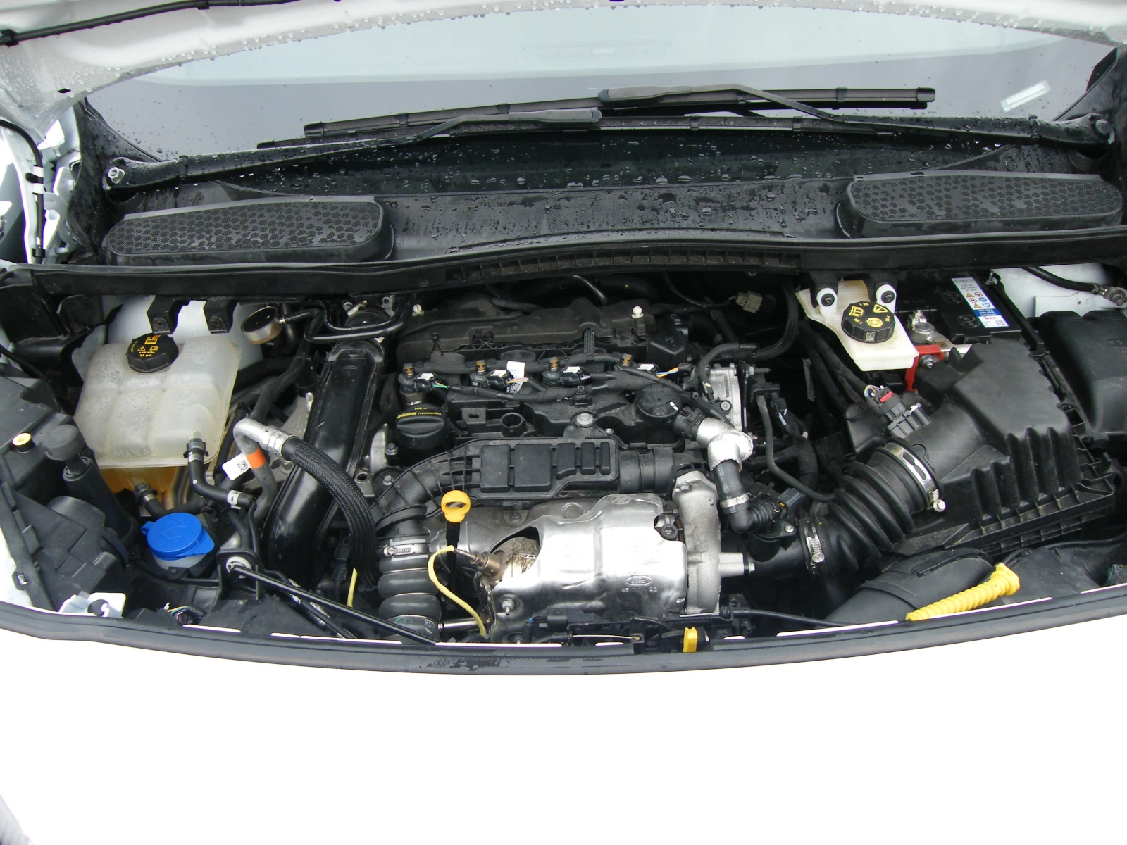 Ford Connect 1.5TDCI EURO 6D 21000km | Mobile.bg � ����������� 15