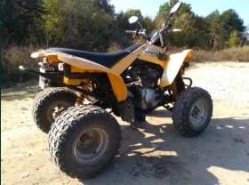 Can-Am DS 250, снимка 3